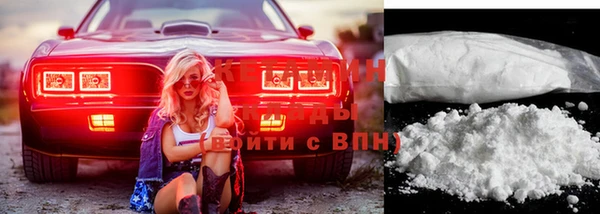 крисы Абаза
