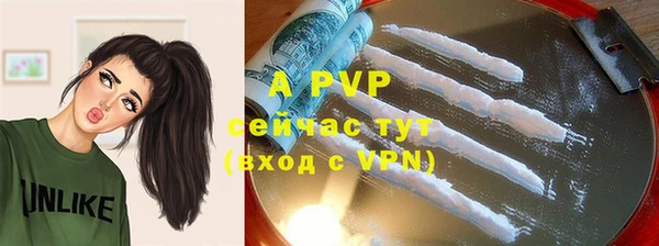 крисы Абаза