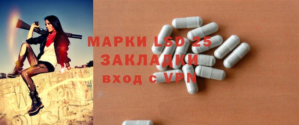 крисы Абаза