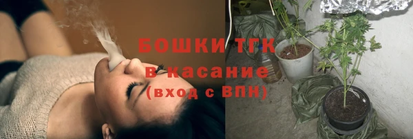 крисы Абаза